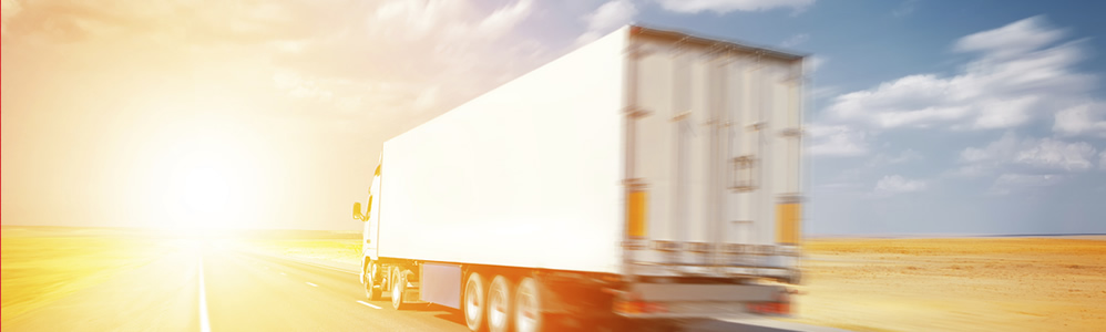 Transporte de Documentos